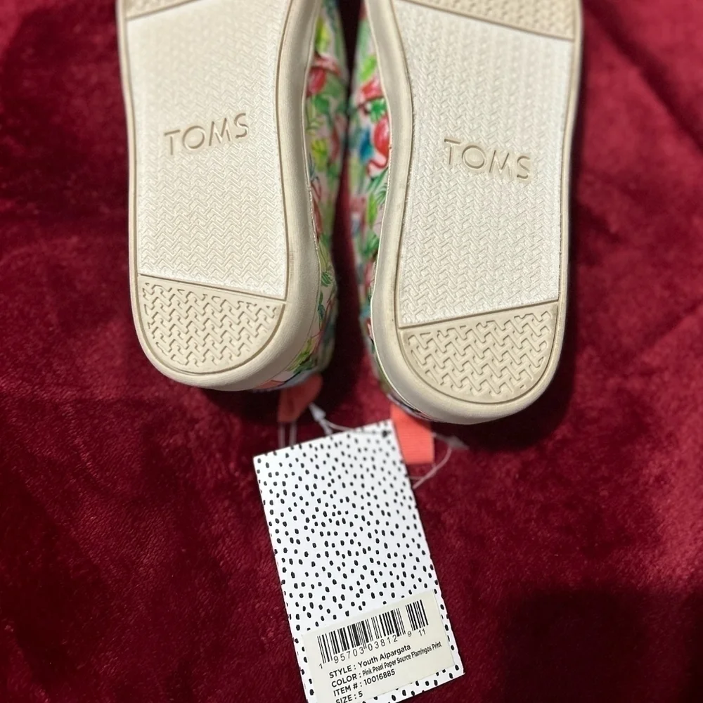 LIMITED Edition Pink Flamingo Toms Y5‎